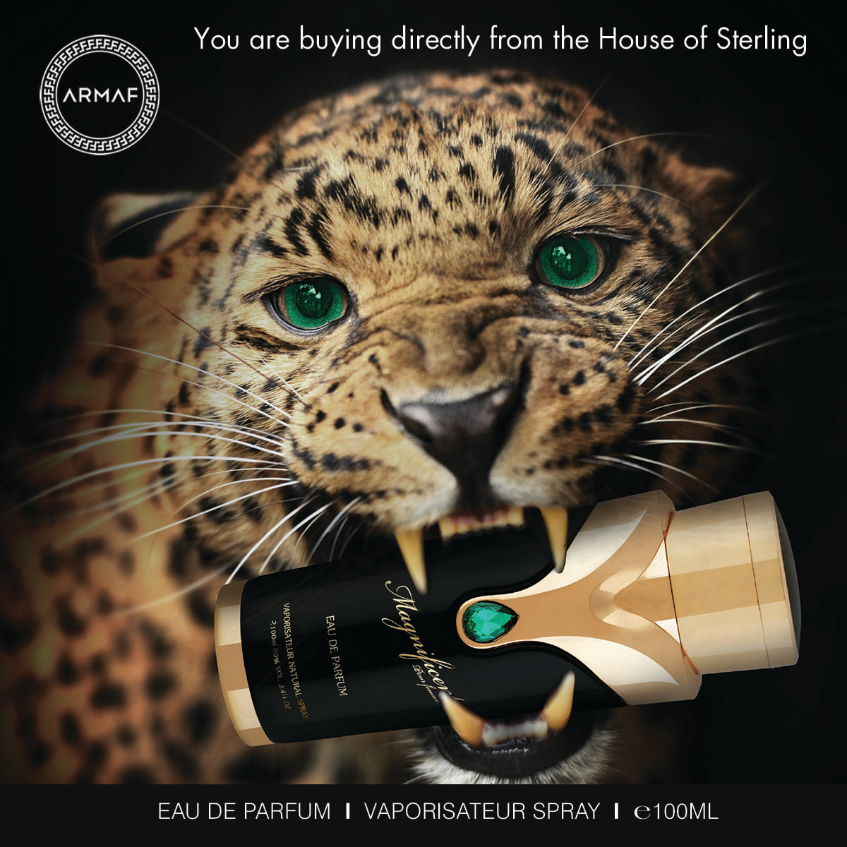 Armaf Magnificent Gold Eau De Parfum 100ML - Use Code: ARMAF50 to get 50% Off