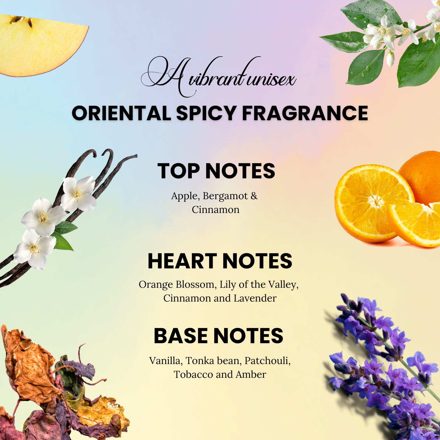 Armaf Odyssey Spectra Eau De Parfum (EDP) 100ML - Rainbow Edition Unisex Oriental Spicy Luxurious Long-Lasting Fragrance