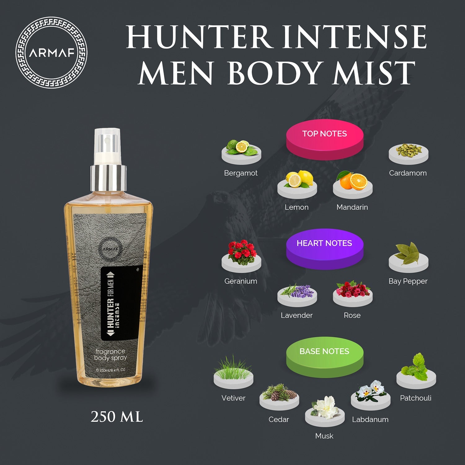 Armaf Hunter Intense Men Mist 250ML