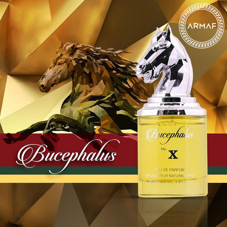 Armaf Bucephalus-X Eau De Parfum 100ML – Oriental Spicy Fragrance
